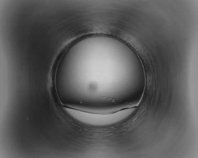 X0000094170628200711161708