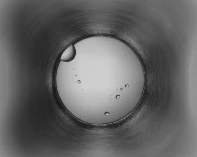 X0000094170629200711161708