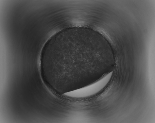 X0000094170630200711161708