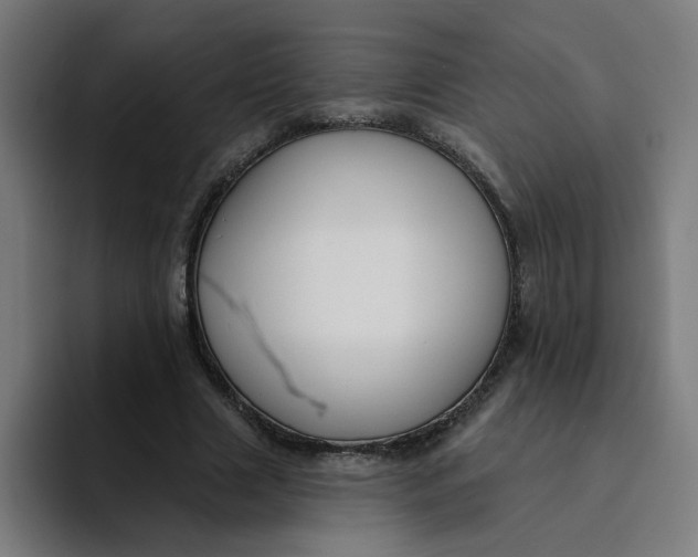 X0000094170633200711161708