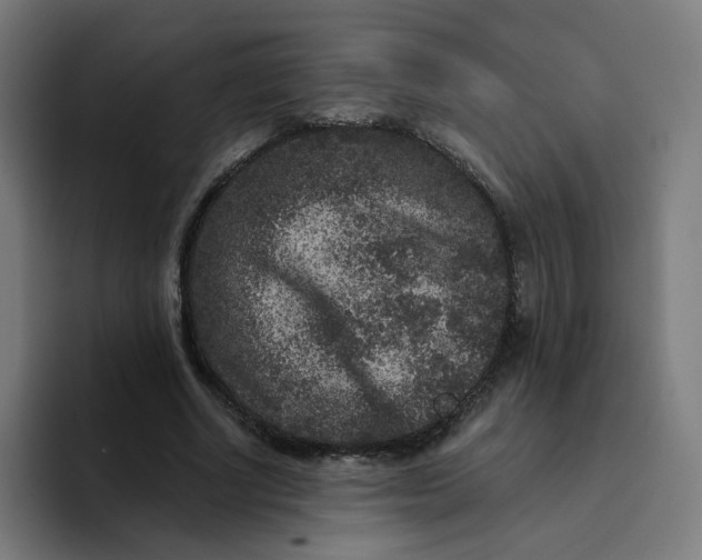 X0000094170634200711161708