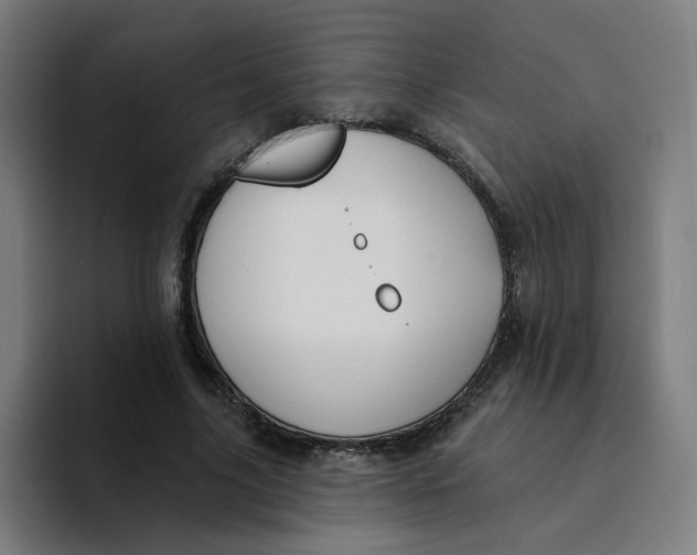 X0000094170635200711161708