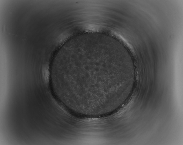 X0000094170637200711161708