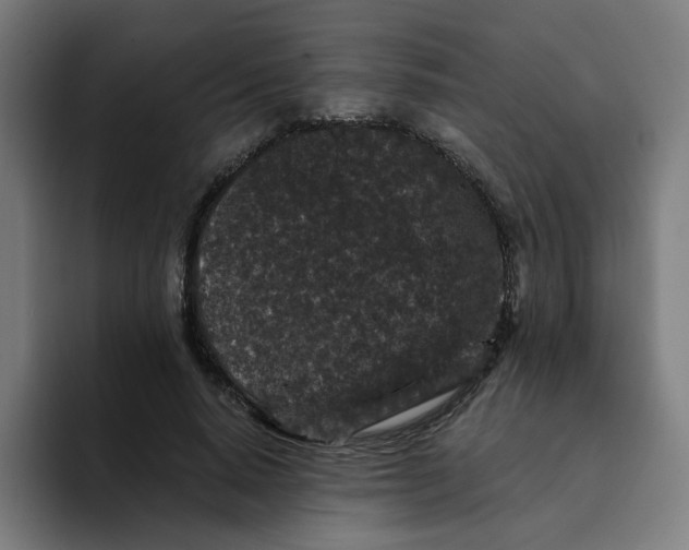 X0000094170640200711161709