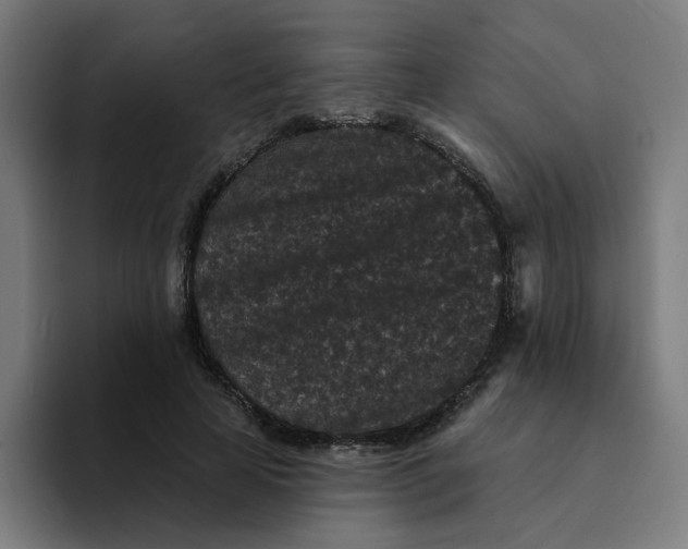 X0000094170641200711161709