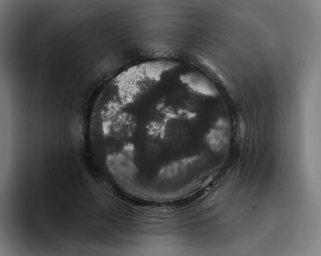 X0000094170643200711161709