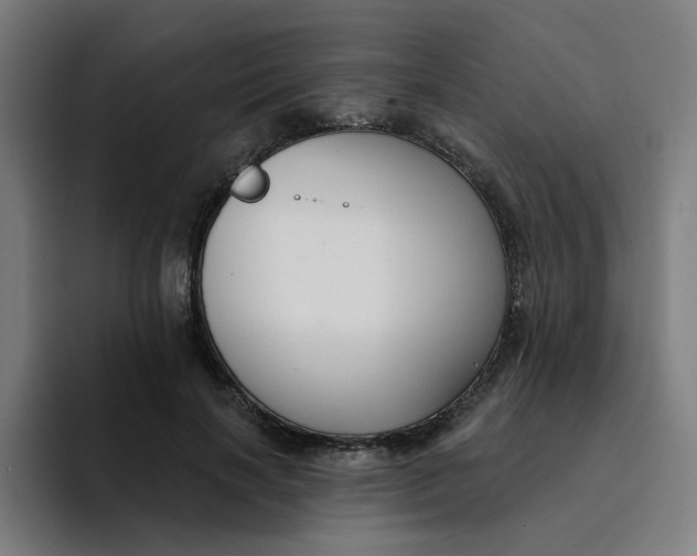 X0000094170646200711161709