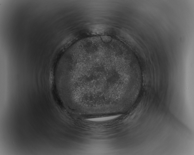 X0000094170648200711161709