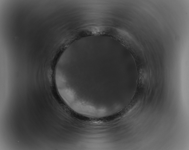 X0000094170650200711161709