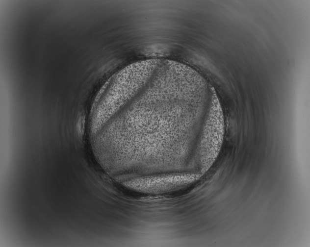 X0000094170652200711161709