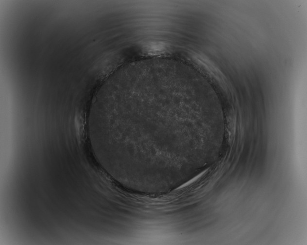 X0000094170653200711161709