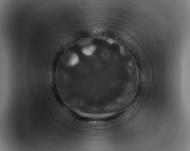 X0000094170654200711161709