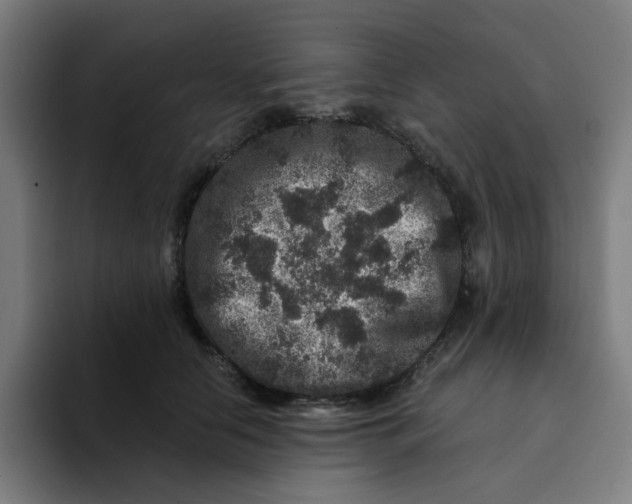 X0000094170658200711161709