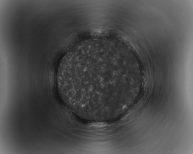 X0000094170659200711161709