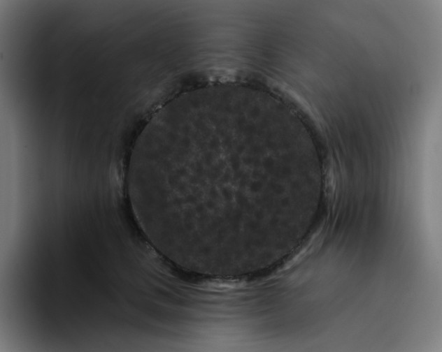 X0000094170661200711161709