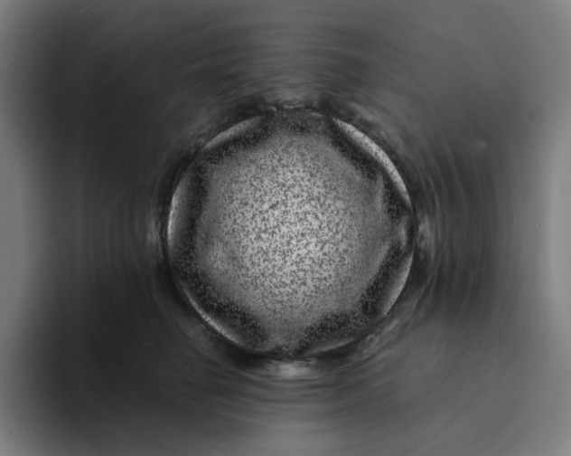 X0000094170662200711161709