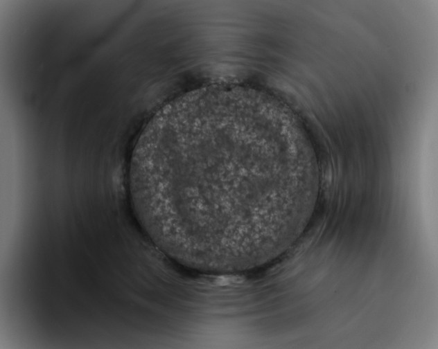 X0000094170663200711161709