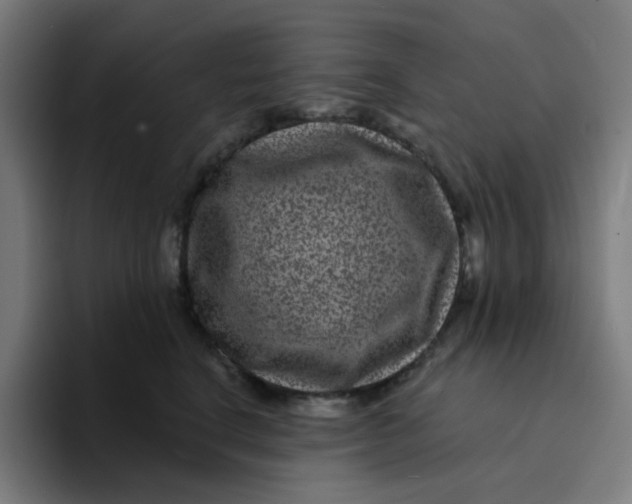 X0000094170664200711161709