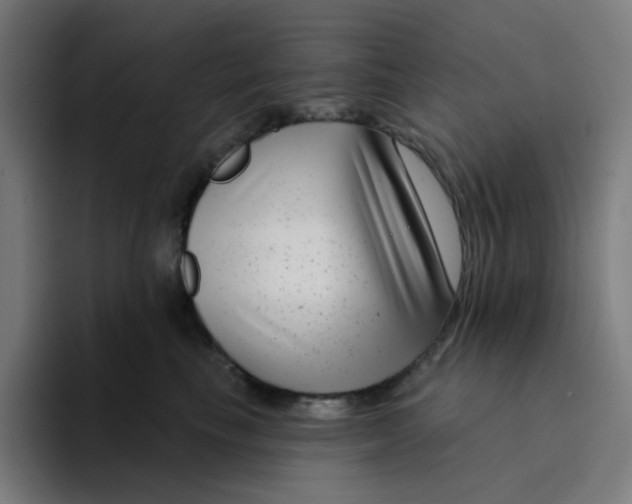 X0000094170665200711161709