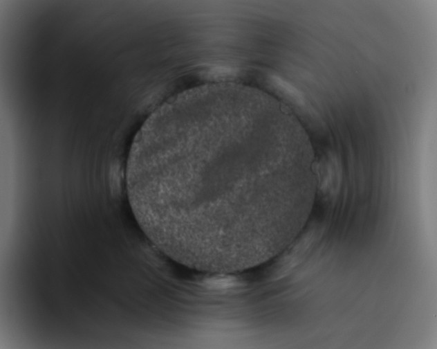 X0000094170669200711161709