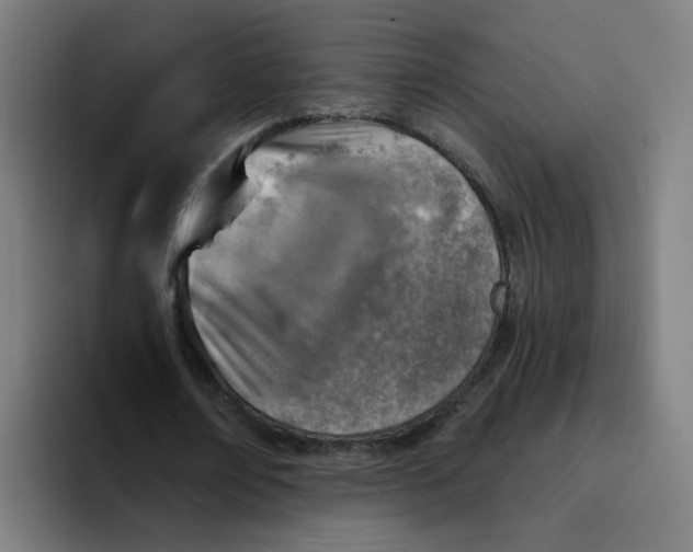 X0000094170674200711161708