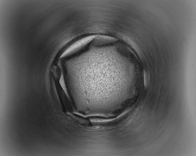 X0000094170675200711161708