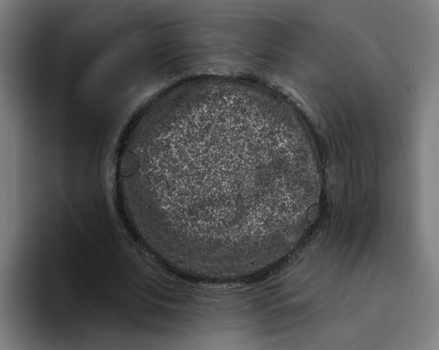 X0000094170679200711161708