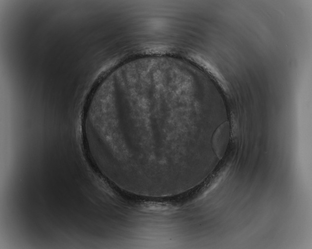 X0000094170681200711161708