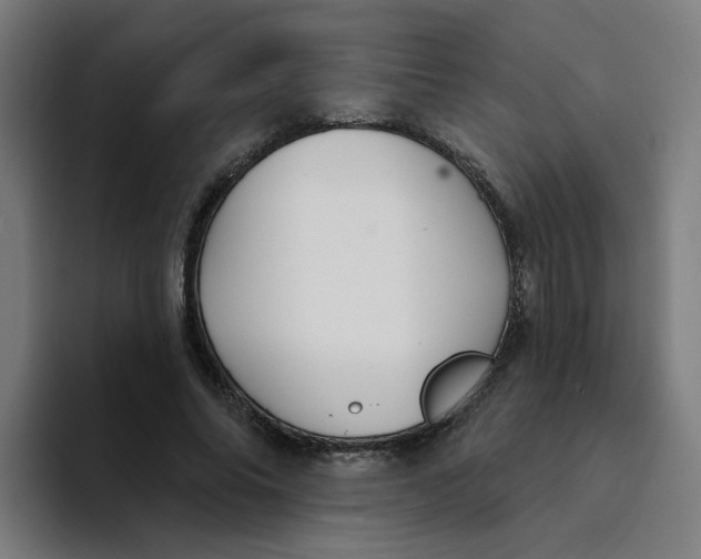 X0000094170686200711161708