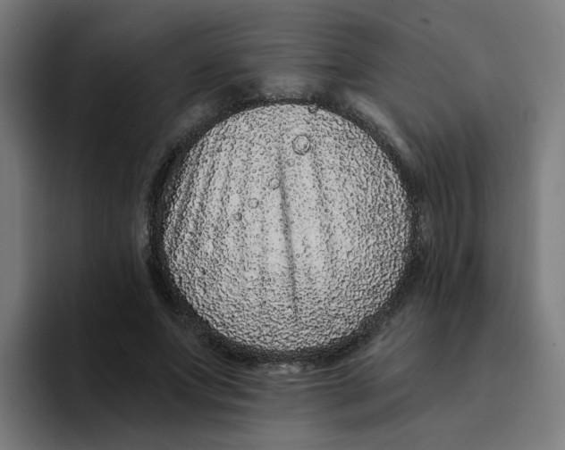 X0000094170687200711161708