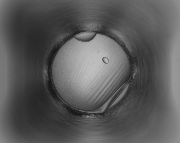 X0000094170688200711161708