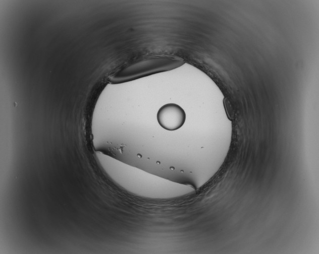 X0000094170693200711161708