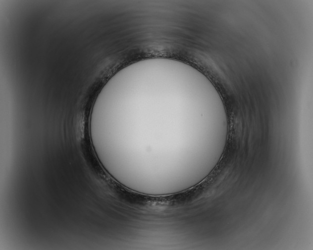 X0000094170694200711161708