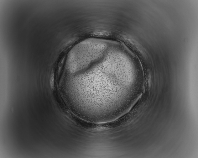 X0000094170696200711161708