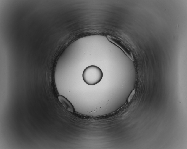 X0000094170697200711161708