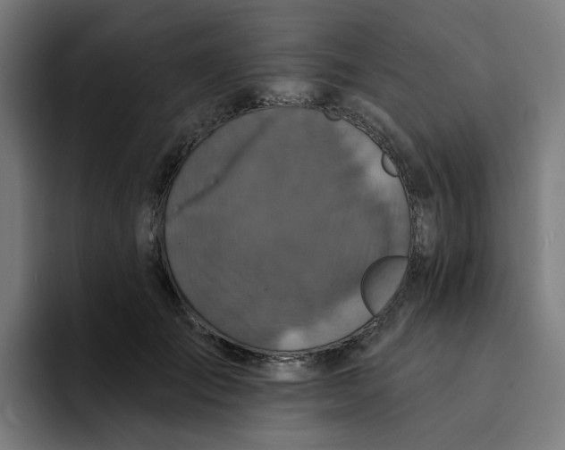 X0000094170701200711161708