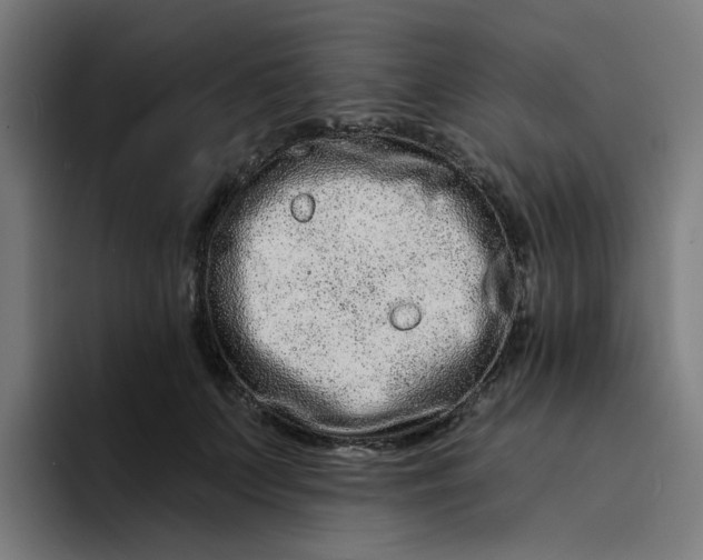 X0000094170703200711161708