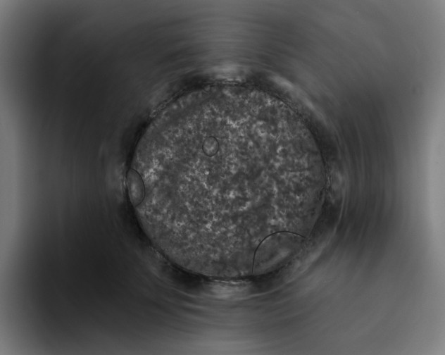 X0000094170707200711161708