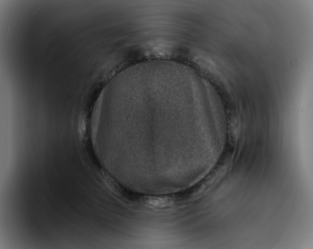 X0000094170709200711161708