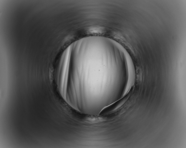 X0000094170712200711161708