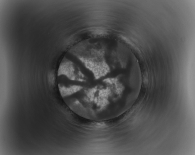 X0000094170715200711161708