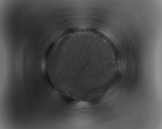 X0000094170718200711161708