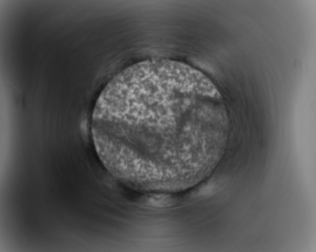 X0000094170720200711161708