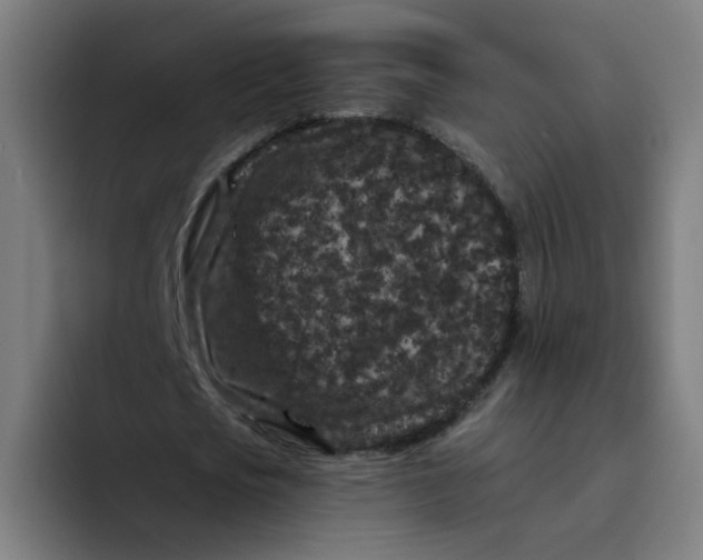 X0000094170721200711161707