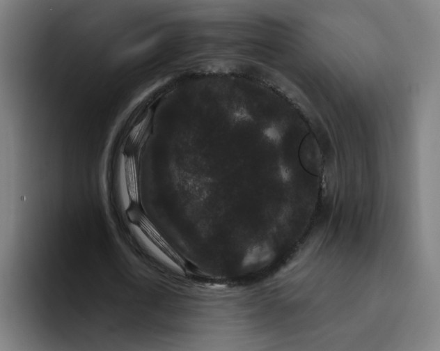 X0000094170722200711161707