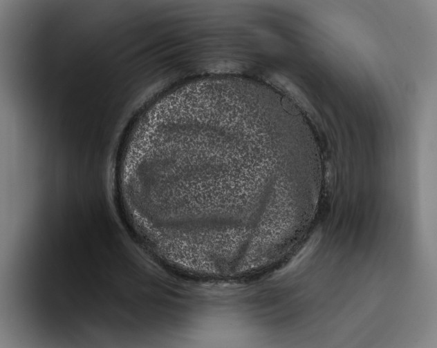 X0000094170725200711161707