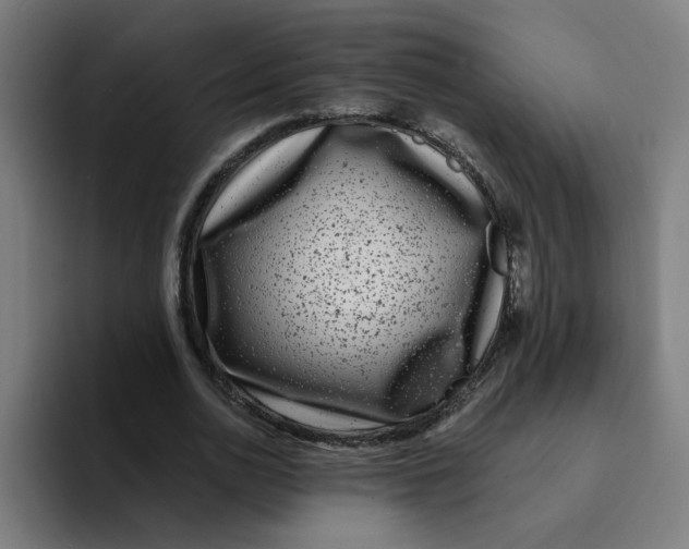 X0000094170726200711161707