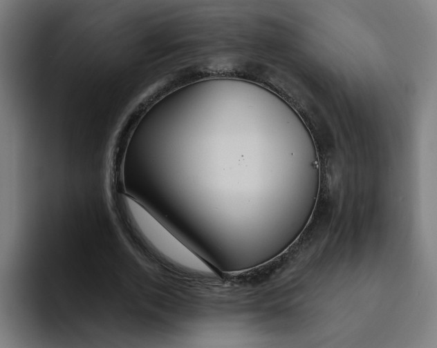 X0000094170728200711161707