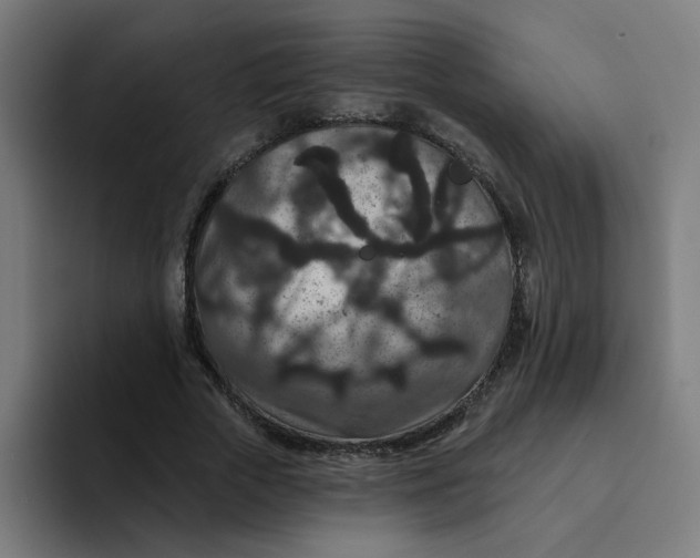 X0000094170729200711161707