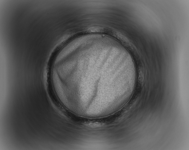 X0000094170730200711161707